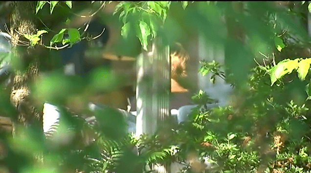 WPXI cameras creeping in your shrubs.